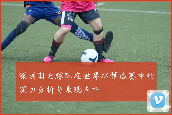 深圳羽毛球队在世界杯预选赛中的实力分析与表现点评