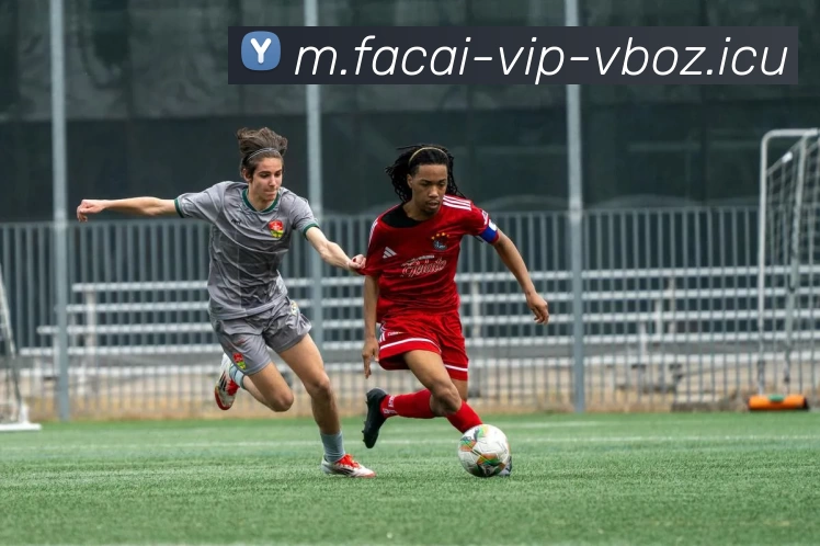 星空体育APP 体育赛事宣传图